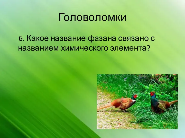 Головоломки 6. Какое название фазана связано с названием химического элемента?