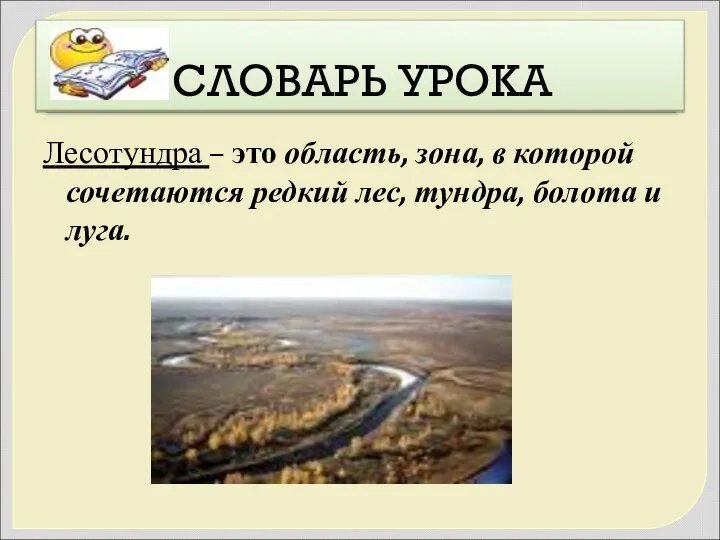 СЛОВАРЬ УРОКА Лесотундра – это область, зона, в которой сочетаются редкий лес, тундра, болота и луга.