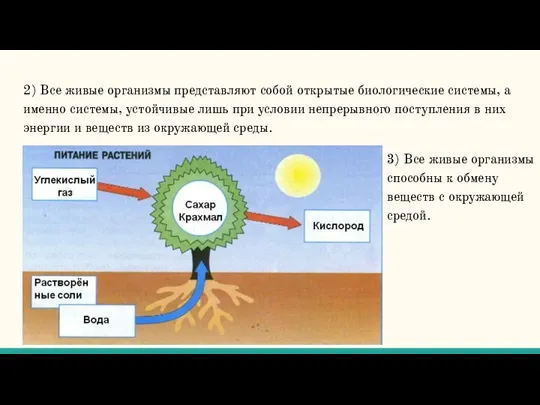 2) Все живые организмы представляют собой открытые биологические системы, а именно системы,