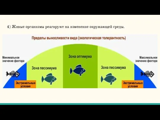 4) Живые организмы реагируют на изменение окружающей среды.