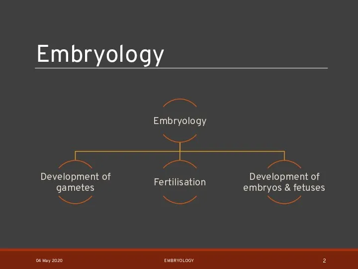 Embryology 04 May 2020 EMBRYOLOGY