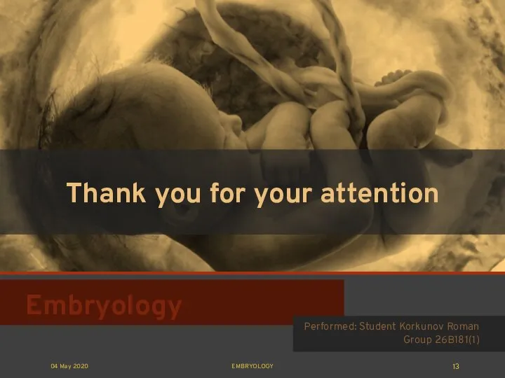 Embryology Performed: Student Korkunov Roman Group 26B181(1) 04 May 2020 EMBRYOLOGY Thank you for your attention