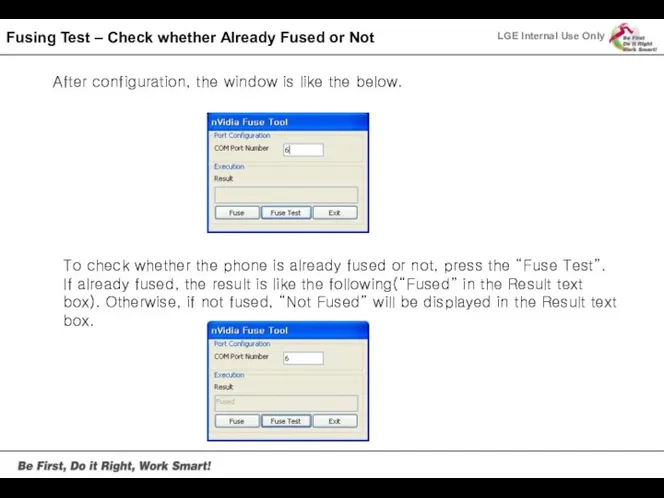 Fusing Test – Check whether Already Fused or Not After configuration, the