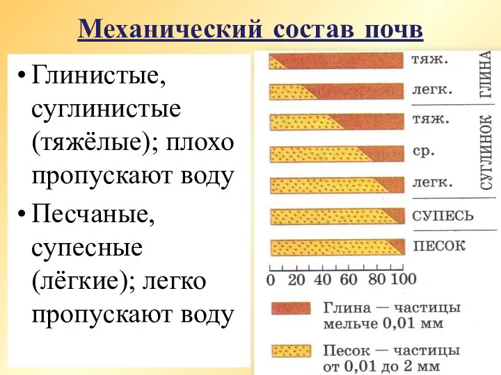 Механический состав почв Глинистые, суглинистые (тяжёлые); плохо пропускают воду Песчаные, супесные (лёгкие); легко пропускают воду