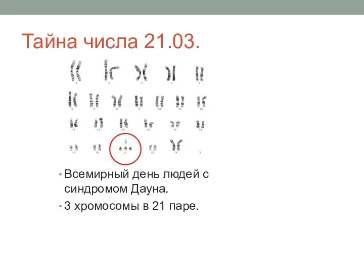 Тайна числа 21.03. Всемирный день людей с синдромом Дауна. 3 хромосомы в 21 паре.