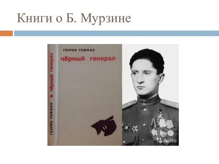 Книги о Б. Мурзине