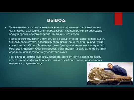 вывод Ученые-палеонтологи основываясь на исследованиях останков живых организмов, оказавшихся в недрах земли