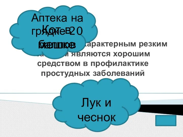 Эти растения с характерным резким запахом являются хорошим средством в профилактике простудных