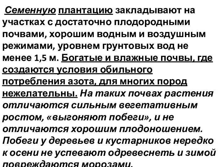 Семенную плантацию закладывают на участках с достаточно плодородными почвами, хорошим водным и