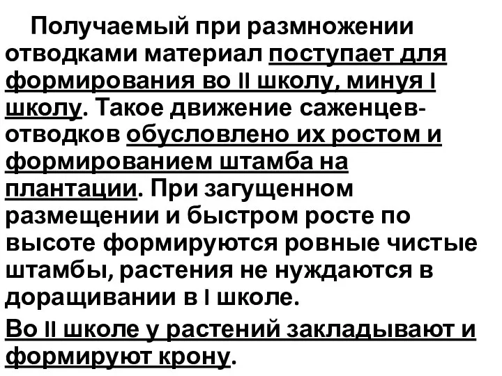 Получаемый при размножении отводками материал поступает для формирования во II школу, минуя