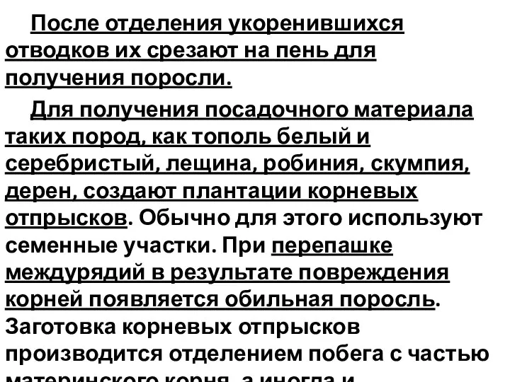 После отделения укоренившихся отводков их срезают на пень для получения поросли. Для