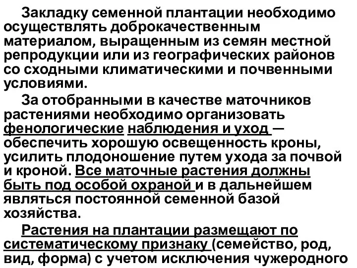 Закладку семенной плантации необходимо осуществлять доброкачественным материалом, выращенным из семян местной репродукции