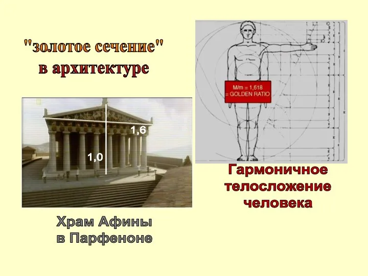 1,6 Гармоничное телосложение человека Храм Афины в Парфеноне "золотое сечение" в архитектуре