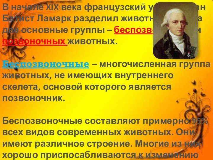 В начале XIX века французский учёный Жан Батист Ламарк разделил животный мир