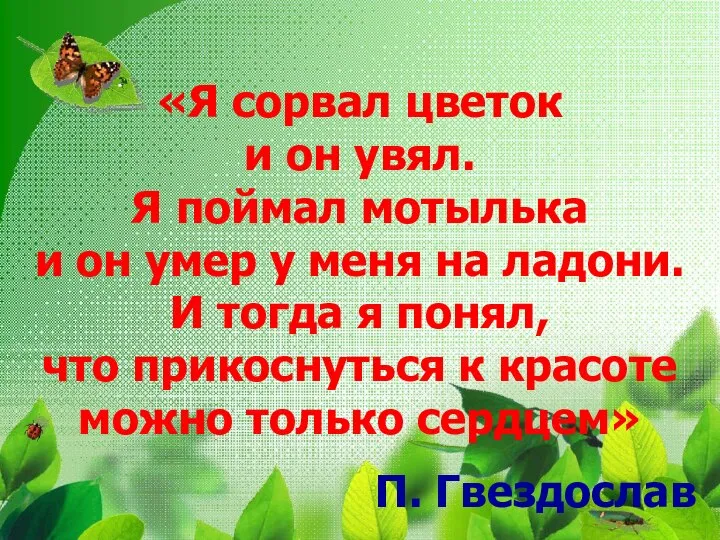 «Я сорвал цветок и он увял. Я поймал мотылька и он умер