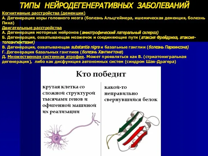 ТИПЫ НЕЙРОДЕГЕНЕРАТИВНЫХ ЗАБОЛЕВАНИЙ Когнитивные расстройства (деменции) А. Дегенерация коры головного мозга (болезнь