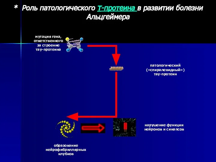 * Роль патологического τ-протеина в развитии болезни Альцгеймера мутация гена, ответственного за