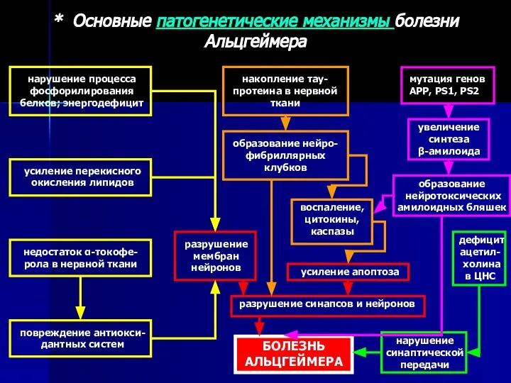 * Основные патогенетические механизмы болезни Альцгеймера нарушение процесса фосфорилирования белков; энергодефицит усиление