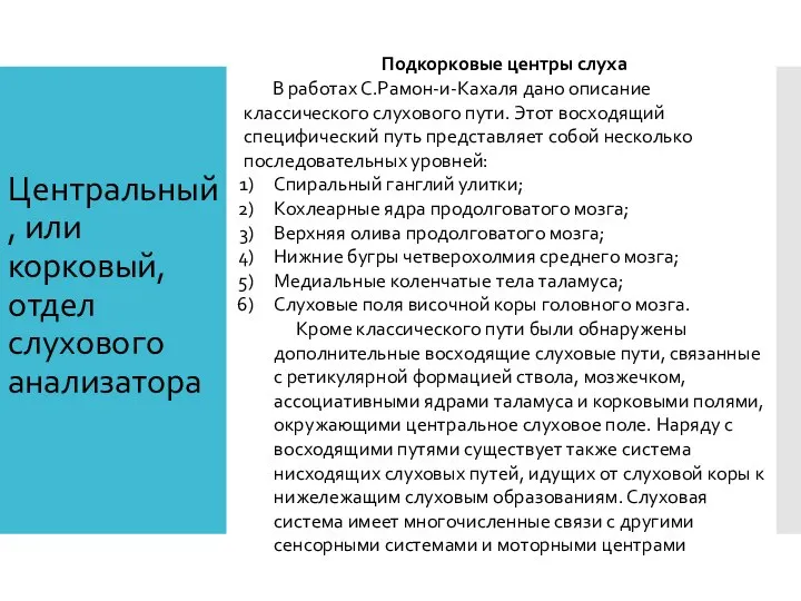 Центральный, или корковый, отдел слухового анализатора Подкорковые центры слуха В работах С.Рамон-и-Кахаля