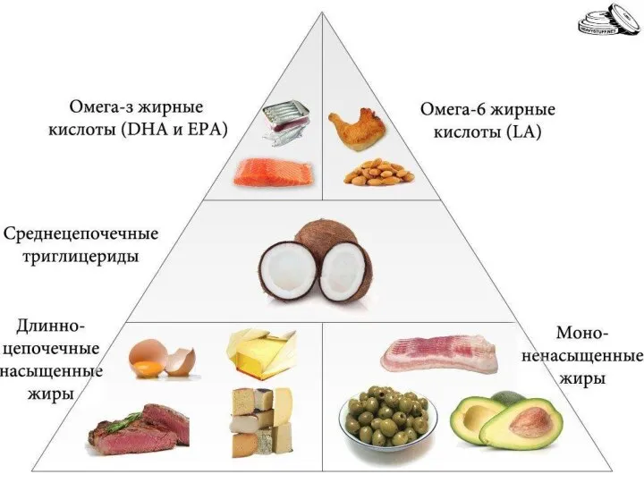 ИСТОЧНИКИ ЖИРОВ