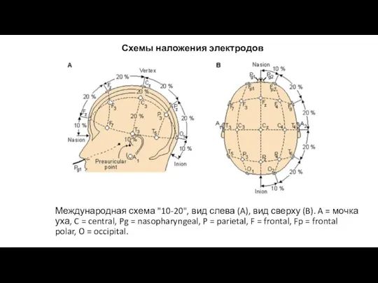 Международная схема "10-20", вид слева (A), вид сверху (B). A = мочка