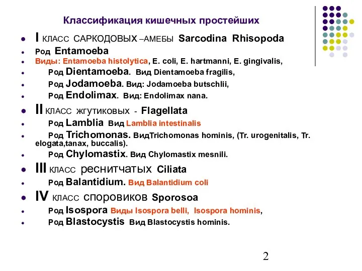 Классификация кишечных простейших I КЛАСС САРКОДОВЫх –АМЕБЫ Sarcodina Rhisopoda Род Entamoeba Виды: