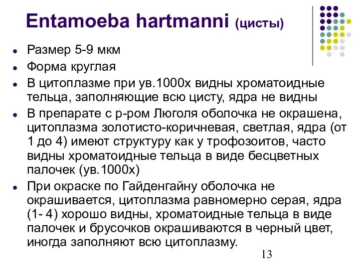 Entamoeba hartmanni (цисты) Размер 5-9 мкм Форма круглая В цитоплазме при ув.1000х