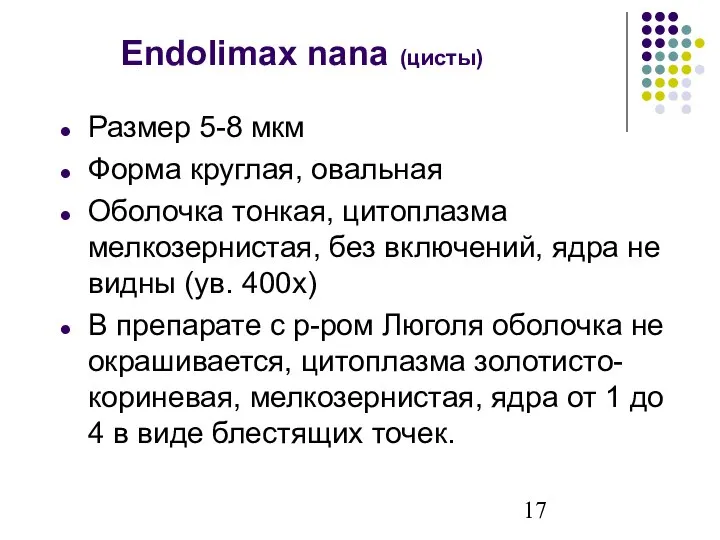 Endolimax nana (цисты) Размер 5-8 мкм Форма круглая, овальная Оболочка тонкая, цитоплазма