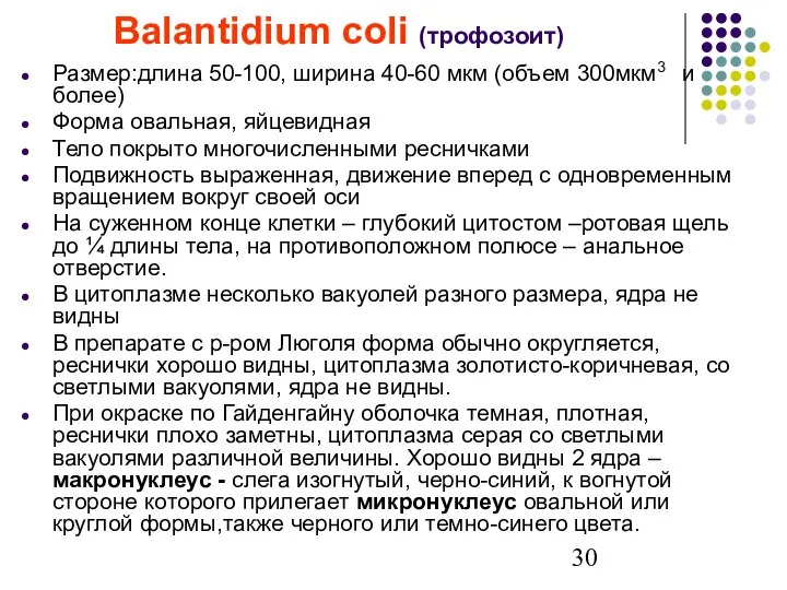 Balantidium coli (трофозоит) Размер:длина 50-100, ширина 40-60 мкм (объем 300мкм3 и более)