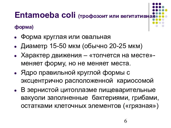 Entamoeba coli (трофозоит или вегитативная форма) Форма круглая или овальная Диаметр 15-50