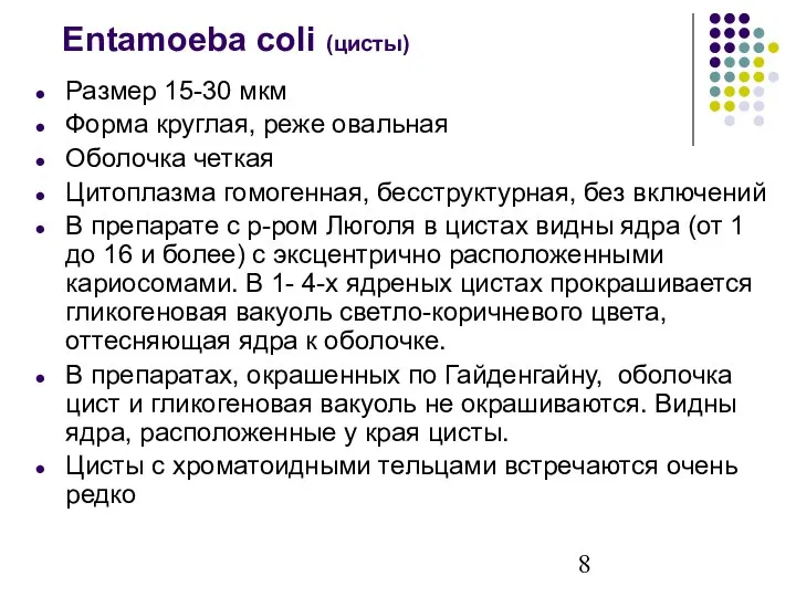 Размер 15-30 мкм Форма круглая, реже овальная Оболочка четкая Цитоплазма гомогенная, бесструктурная,