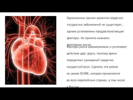 Однозначных причин развития сердечно-сосудистых заболеваний не существует, однако установлены предрасполагающие факторы. Их