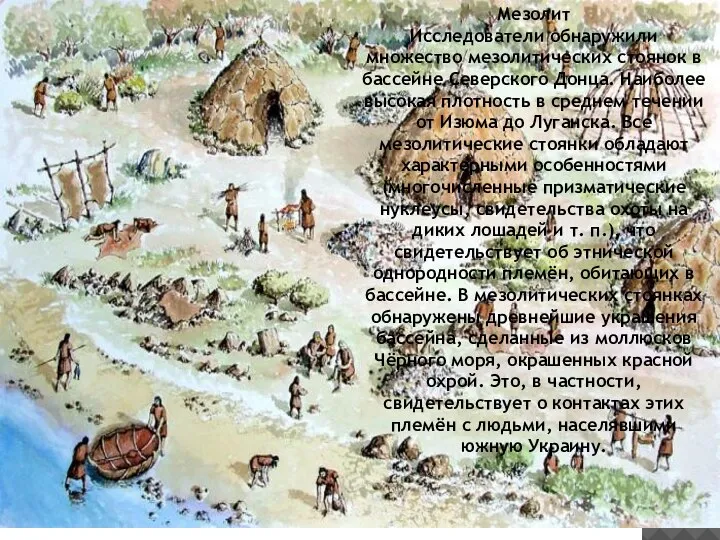 Мезолит Исследователи обнаружили множество мезолитических стоянок в бассейне Северского Донца. Наиболее высокая