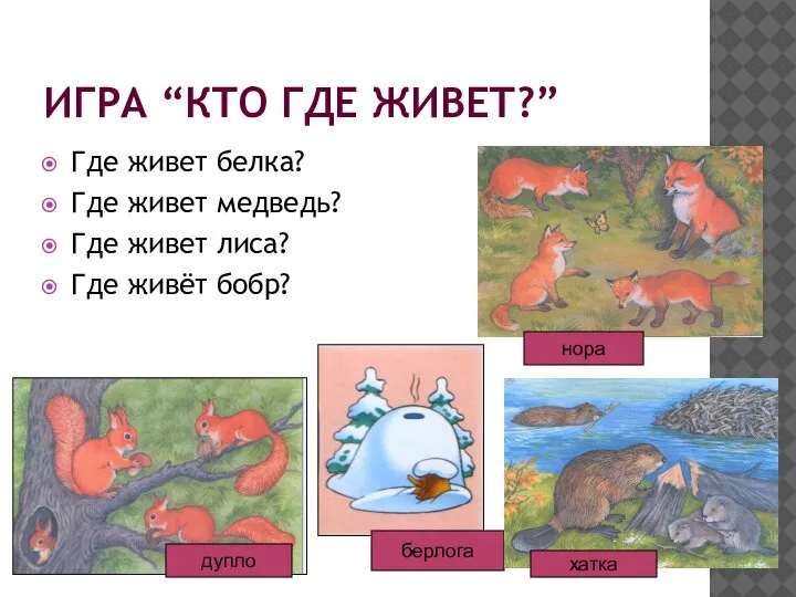 ИГРА “КТО ГДЕ ЖИВЕТ?” Где живет белка? Где живет медведь? Где живет лиса? Где живёт бобр?