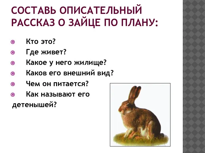 СОСТАВЬ ОПИСАТЕЛЬНЫЙ РАССКАЗ О ЗАЙЦЕ ПО ПЛАНУ: Кто это? Где живет? Какое