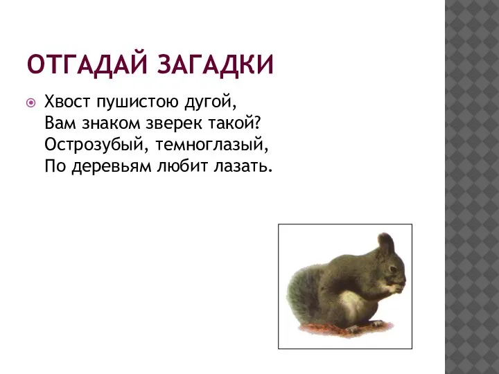 ОТГАДАЙ ЗАГАДКИ Хвост пушистою дугой, Вам знаком зверек такой? Острозубый, темноглазый, По деревьям любит лазать.