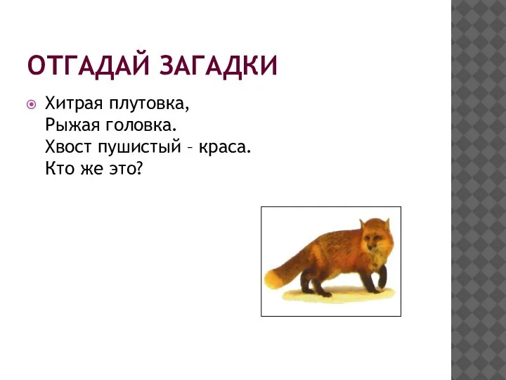 ОТГАДАЙ ЗАГАДКИ Хитрая плутовка, Рыжая головка. Хвост пушистый – краса. Кто же это?