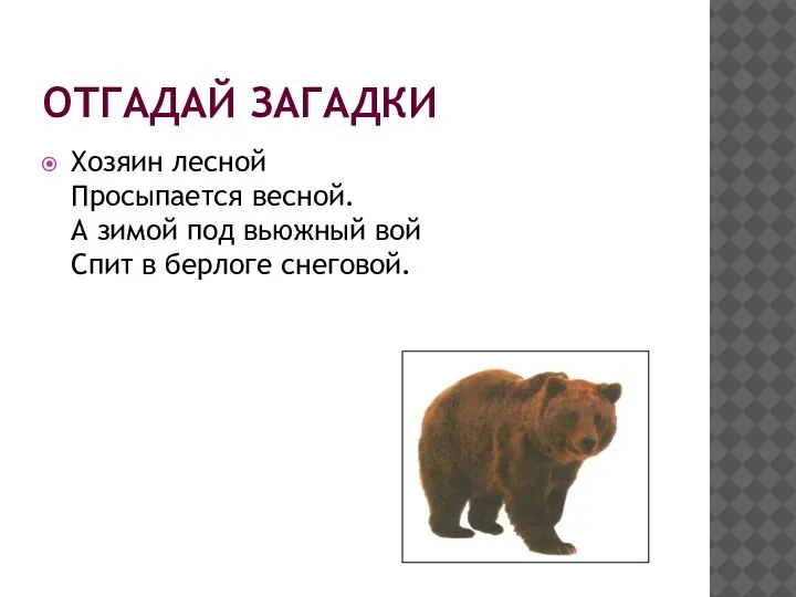 ОТГАДАЙ ЗАГАДКИ Хозяин лесной Просыпается весной. А зимой под вьюжный вой Спит в берлоге снеговой.