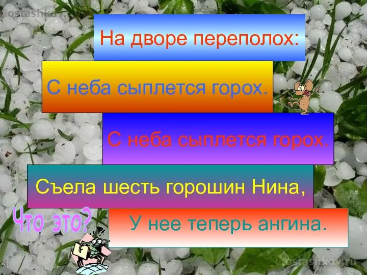 На дворе переполох: С неба сыплется горох. С неба сыплется горох. Съела