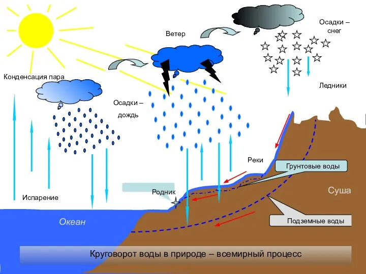 Испарение Конденсация пара Осадки – дождь Осадки – снег Ветер Круговорот воды