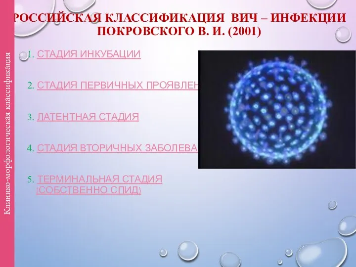 РОССИЙСКАЯ КЛАССИФИКАЦИЯ ВИЧ – ИНФЕКЦИИ ПОКРОВСКОГО В. И. (2001) 1. СТАДИЯ ИНКУБАЦИИ