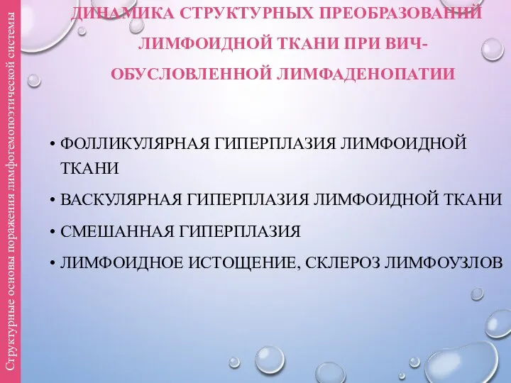 ДИНАМИКА СТРУКТУРНЫХ ПРЕОБРАЗОВАНИЙ ЛИМФОИДНОЙ ТКАНИ ПРИ ВИЧ-ОБУСЛОВЛЕННОЙ ЛИМФАДЕНОПАТИИ ФОЛЛИКУЛЯРНАЯ ГИПЕРПЛАЗИЯ ЛИМФОИДНОЙ ТКАНИ