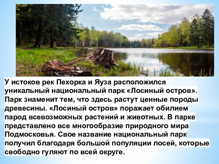 У истоков рек Пехорка и Яуза расположился уникальный национальный парк «Лосиный остров».Парк