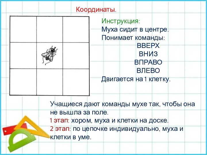 Координаты. Инструкция: Муха сидит в центре. Понимает команды: ВВЕРХ ВНИЗ ВПРАВО ВЛЕВО