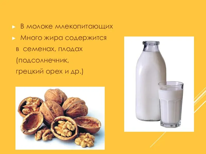 В молоке млекопитающих Много жира содержится в семенах, плодах (подсолнечник, грецкий орех и др.)