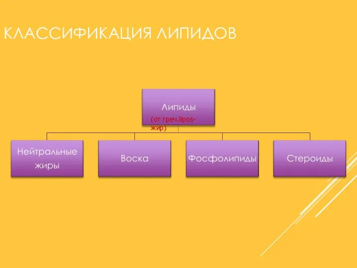 (от греч.lipos-жир) КЛАССИФИКАЦИЯ ЛИПИДОВ