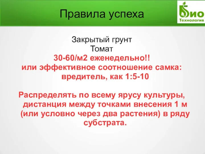 Правила успеха Закрытый грунт Томат 30-60/м2 еженедельно!! или эффективное соотношение самка: вредитель,