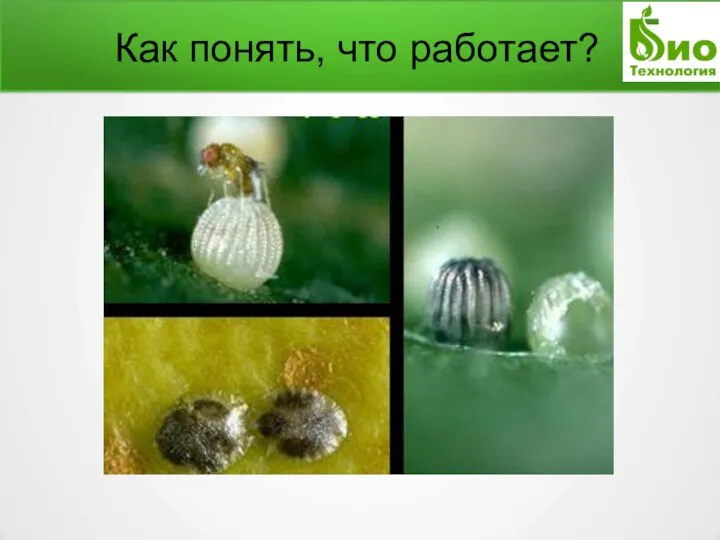 Как понять, что работает?