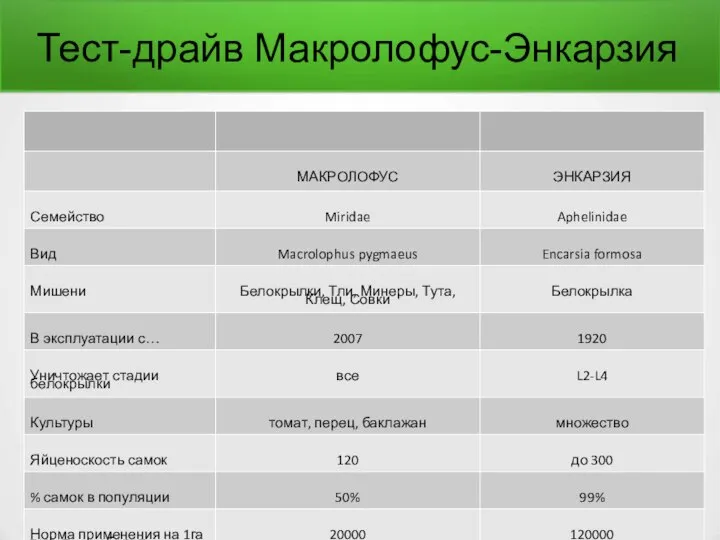 Тест-драйв Макролофус-Энкарзия