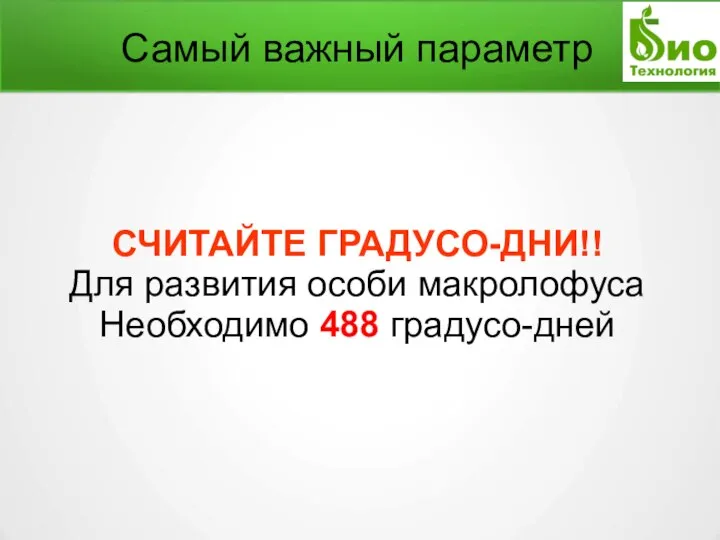 Самый важный параметр СЧИТАЙТЕ ГРАДУСО-ДНИ!! Для развития особи макролофуса Необходимо 488 градусо-дней